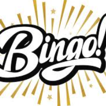 Bullseye & Bingo - logo